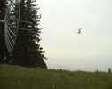 Unfortunately, the Helicopter crashed shortly after our job