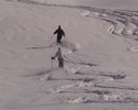 Many have tried to ski like him