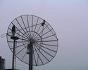 This servicetower offers quick access to the feedhorn