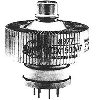 A fine tube for 2m and HF